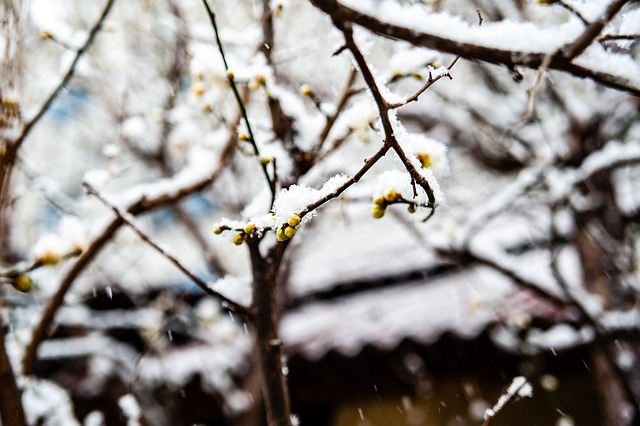 重要环节